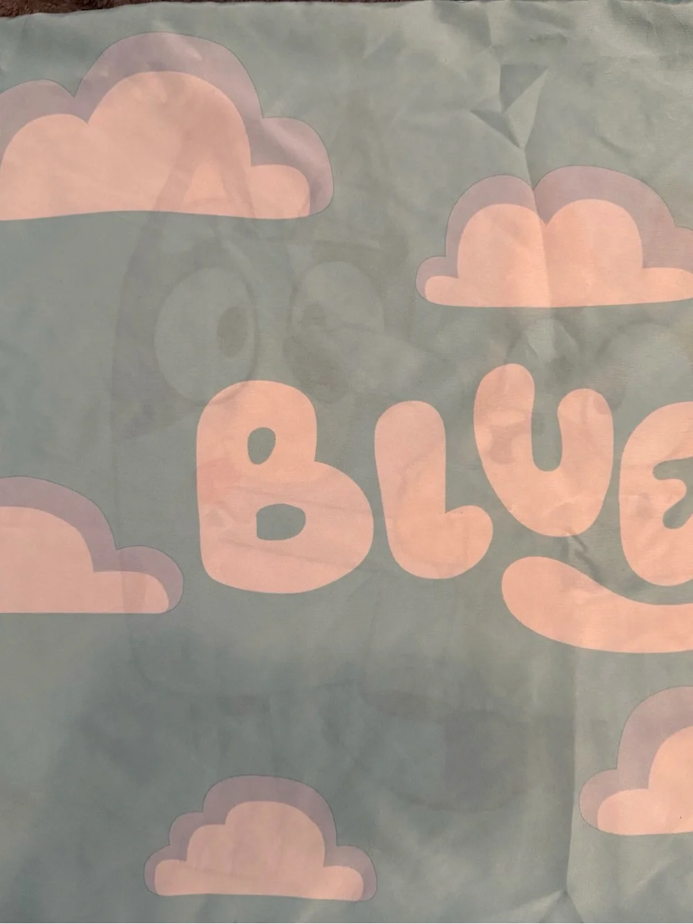 Bluey One Standard Size  Pillowcase Bluey Bingo Multicolor